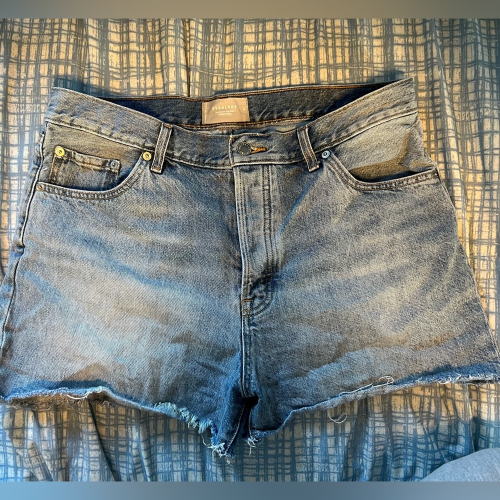 EUC EVERLANE “The Relaxed 90s Short” Size 31